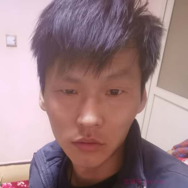 永新征婚相亲网